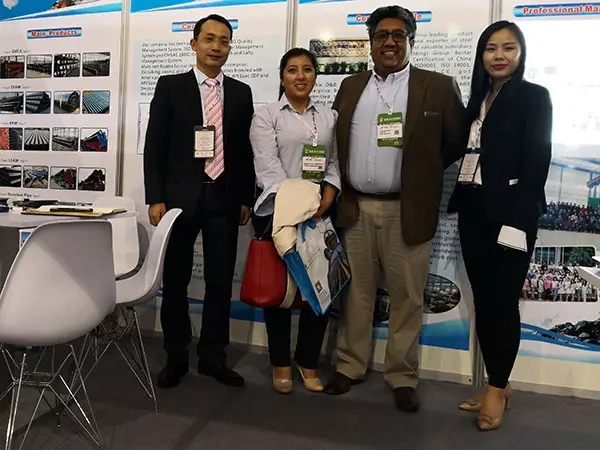 hot expanded seamless pipe,erw pipe manufacturer,long radius pipe elbows