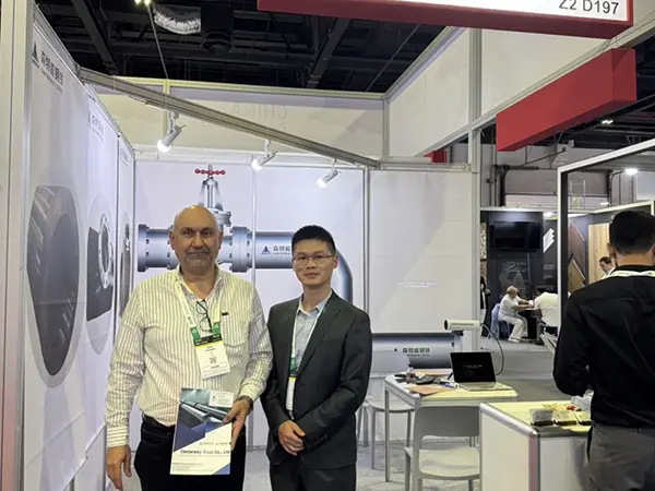 brida de placa,tubo a795,tubo de revestimiento de china